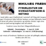 FYRIRLESTUR UM SVIKASTARFSEMI Á NETINU